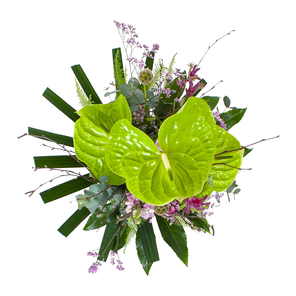 Boeket Anthurium Klein 2 Boeket Anthurium Klein - Afbeelding 2