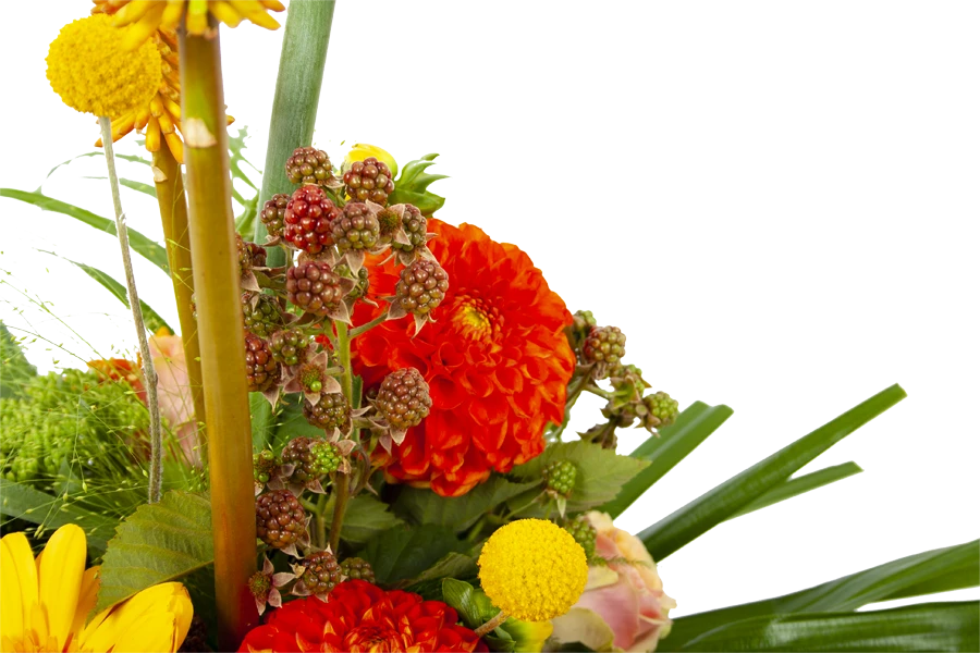 Boeket Beatrix Groot 3 Boeket Beatrix Groot - Afbeelding 3