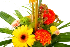 Boeket Beatrix Klein -Goedkope Tuinbenodigdheden winkel boeket beatrix boeketten 4 3 2