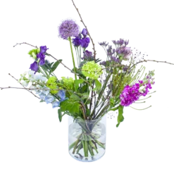 Boeket Biezen Groot 7 Boeket Biezen Groot -Goedkope Tuinbenodigdheden winkel boeket biezen boeketten 1 2