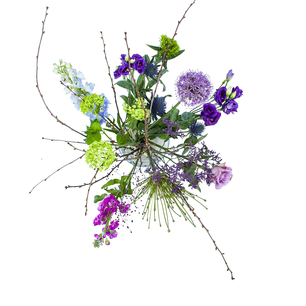 Boeket Biezen Groot 1 Boeket Biezen Groot