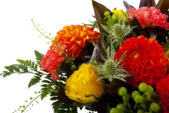 Boeket Dahlia Groot -Goedkope Tuinbenodigdheden winkel boeket dahlia boeketten 4 3