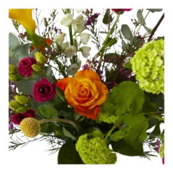 Boeket De Lente Groot 8 Boeket De Lente Groot -Goedkope Tuinbenodigdheden winkel boeket de lente boeketten 3 1