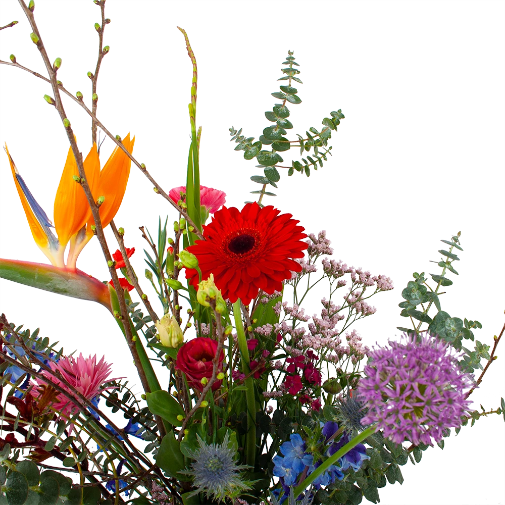 Boeket Deluxe Liefs Mij Groot 2 Boeket Deluxe Liefs Mij Groot - Afbeelding 2