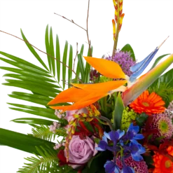 Boeket Deluxe Special Voor Jou Groot -Goedkope Tuinbenodigdheden winkel boeket deluxe special voor jou boeketten 3