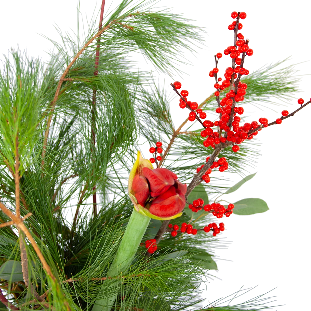 Boeket Deluxe Winter Middel 2 Boeket Deluxe Winter Middel - Afbeelding 2