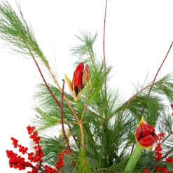 Boeket Deluxe Winter Klein -Goedkope Tuinbenodigdheden winkel boeket deluxe winter boeketten 3 1 1