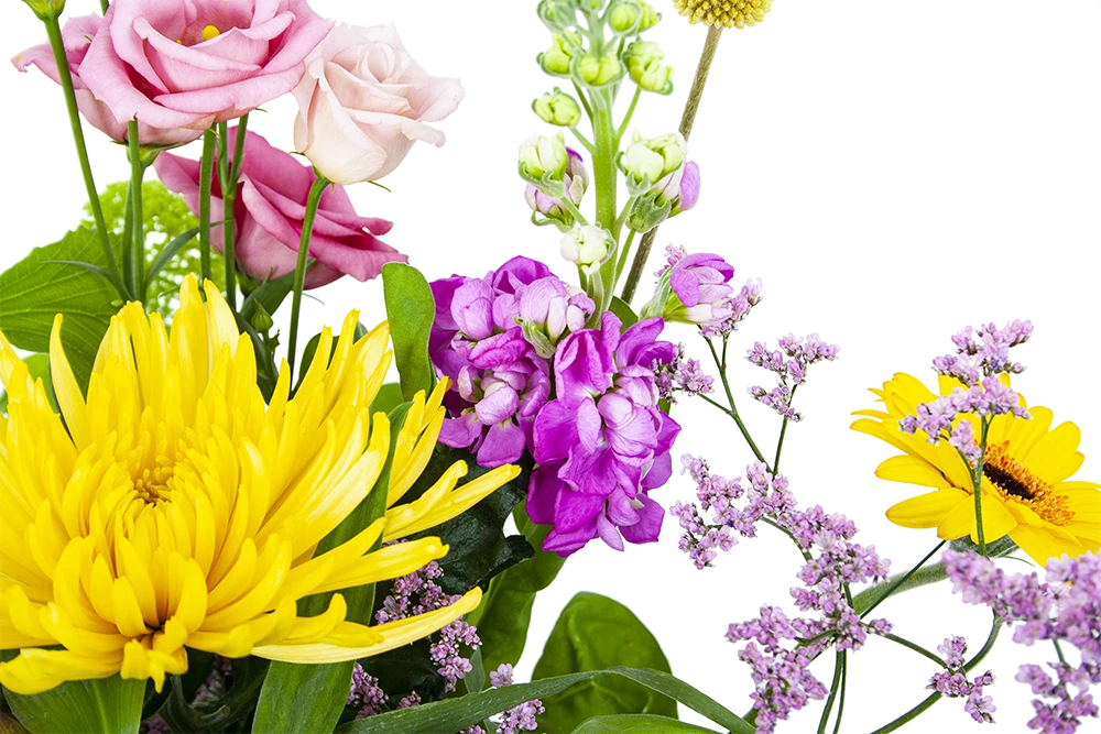 Boeket Eline Middel 3 Boeket Eline Middel - Afbeelding 3