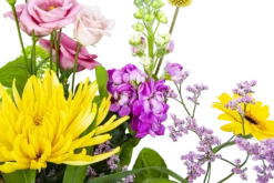 Boeket Eline Klein -Goedkope Tuinbenodigdheden winkel boeket eline boeketten 3