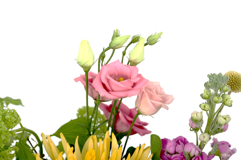 Boeket Eline Middel 4 Boeket Eline Middel - Afbeelding 4