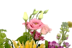 Boeket Eline Groot -Goedkope Tuinbenodigdheden winkel boeket eline boeketten 4 2