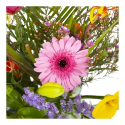 Boeket Heerlijke Lente Deluxe Klein 8 Boeket Heerlijke Lente Deluxe Klein -Goedkope Tuinbenodigdheden winkel boeket heerlijke lente deluxe boeketten 3