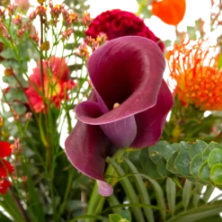 Boeket Herfst Warmte Middel 9 Boeket Herfst Warmte Middel -Goedkope Tuinbenodigdheden winkel boeket herfst warmte middel boeketten 4