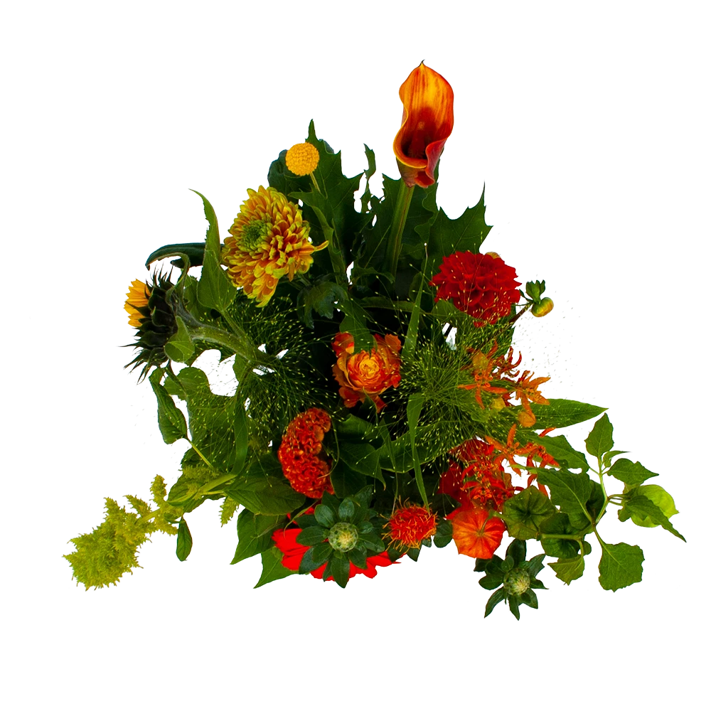 Boeket Herfst Uit Het Veld Middel 2 Boeket Herfst Uit Het Veld Middel - Afbeelding 2