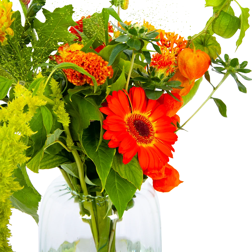 Boeket Herfst Uit Het Veld Middel 3 Boeket Herfst Uit Het Veld Middel - Afbeelding 3