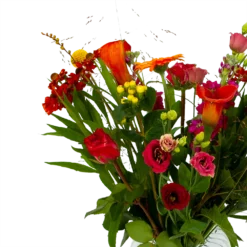 Boeket Hippe Herfst Groot 8 Boeket Hippe Herfst Groot -Goedkope Tuinbenodigdheden winkel boeket hippe herfst groot boeketten 3 1