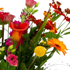 Boeket Hippe Herfst Groot 9 Boeket Hippe Herfst Groot -Goedkope Tuinbenodigdheden winkel boeket hippe herfst groot boeketten 4 1