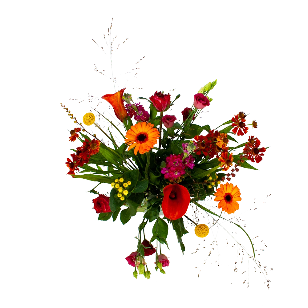 Boeket Hippe Herfst Middel 2 Boeket Hippe Herfst Middel - Afbeelding 2