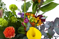 Boeket Judith Groot 7 Boeket Judith Groot -Goedkope Tuinbenodigdheden winkel boeket judith boeketten 3 1