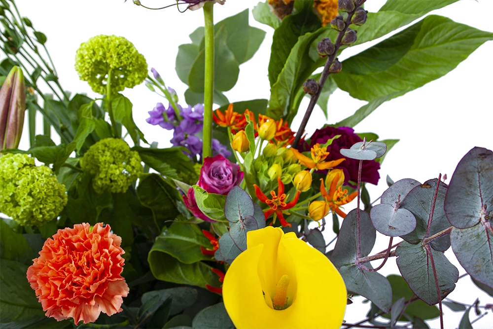 Boeket Judith Klein 3 Boeket Judith Klein - Afbeelding 3