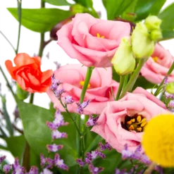 Boeket Kleurrijk Geplukt Middel 7 Boeket Kleurrijk Geplukt Middel -Goedkope Tuinbenodigdheden winkel boeket kleurrijk geplukt boeketten 3 2