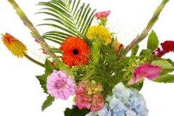 Boeket Lach Middel 8 Boeket Lach Middel -Goedkope Tuinbenodigdheden winkel boeket lach boeketten 3 1 2