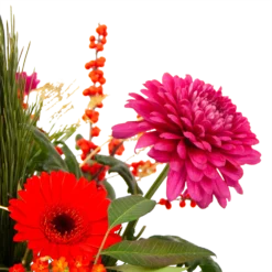 Boeket Liefdevolle Kerst Klein 8 Boeket Liefdevolle Kerst Klein -Goedkope Tuinbenodigdheden winkel boeket liefdevolle kerst boeketten 3 1