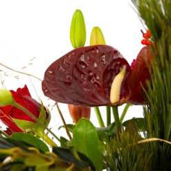 Boeket Liefdevolle Kerst Middel 9 Boeket Liefdevolle Kerst Middel -Goedkope Tuinbenodigdheden winkel boeket liefdevolle kerst boeketten 4 1 2