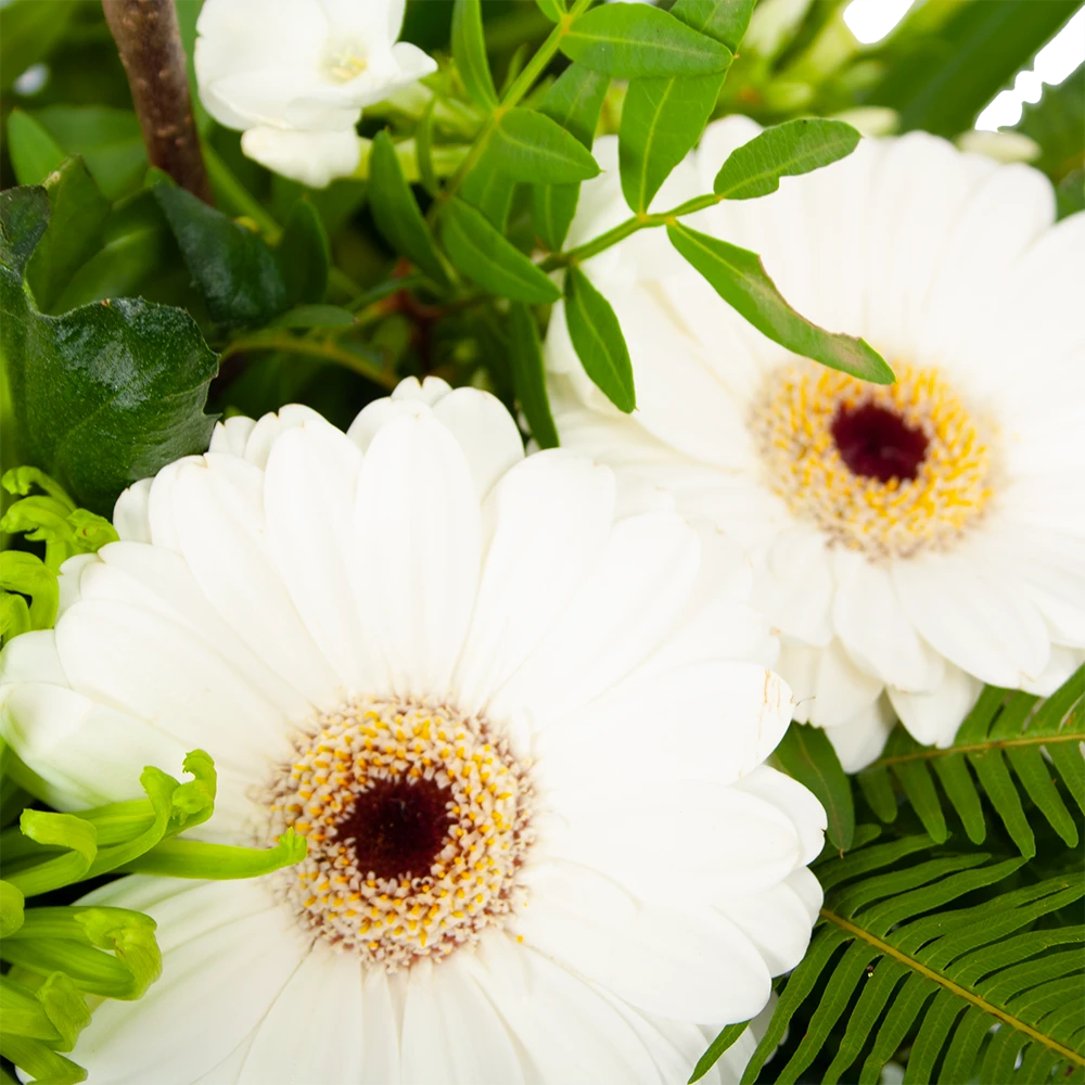 Boeket Liefdevolle Winter Groot 2 Boeket Liefdevolle Winter Groot - Afbeelding 2