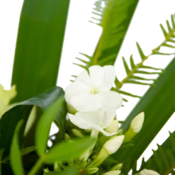 Boeket Liefdevolle Winter Middel -Goedkope Tuinbenodigdheden winkel boeket liefdevolle winter boeketten 3 2
