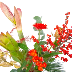 Boeket Luxe Winter Groot 7 Boeket Luxe Winter Groot -Goedkope Tuinbenodigdheden winkel boeket luxe winter boeketten 3 1 2