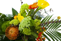 Boeket Martinus Groot 7 Boeket Martinus Groot -Goedkope Tuinbenodigdheden winkel boeket martinus boeketten 3