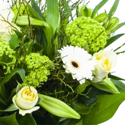 Boeket Miriam Middel 7 Boeket Miriam Middel -Goedkope Tuinbenodigdheden winkel boeket miriam boeketten 3 1 2