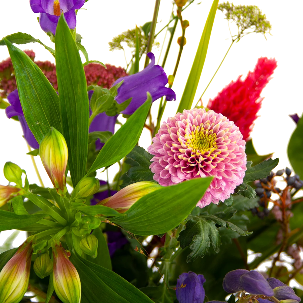 Boeket Paarse Passie Groot 4 Boeket Paarse Passie Groot - Afbeelding 4