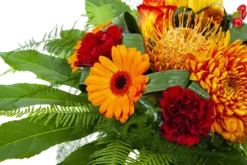 Boeket Piet Klein -Goedkope Tuinbenodigdheden winkel boeket piet boeketten 3 1