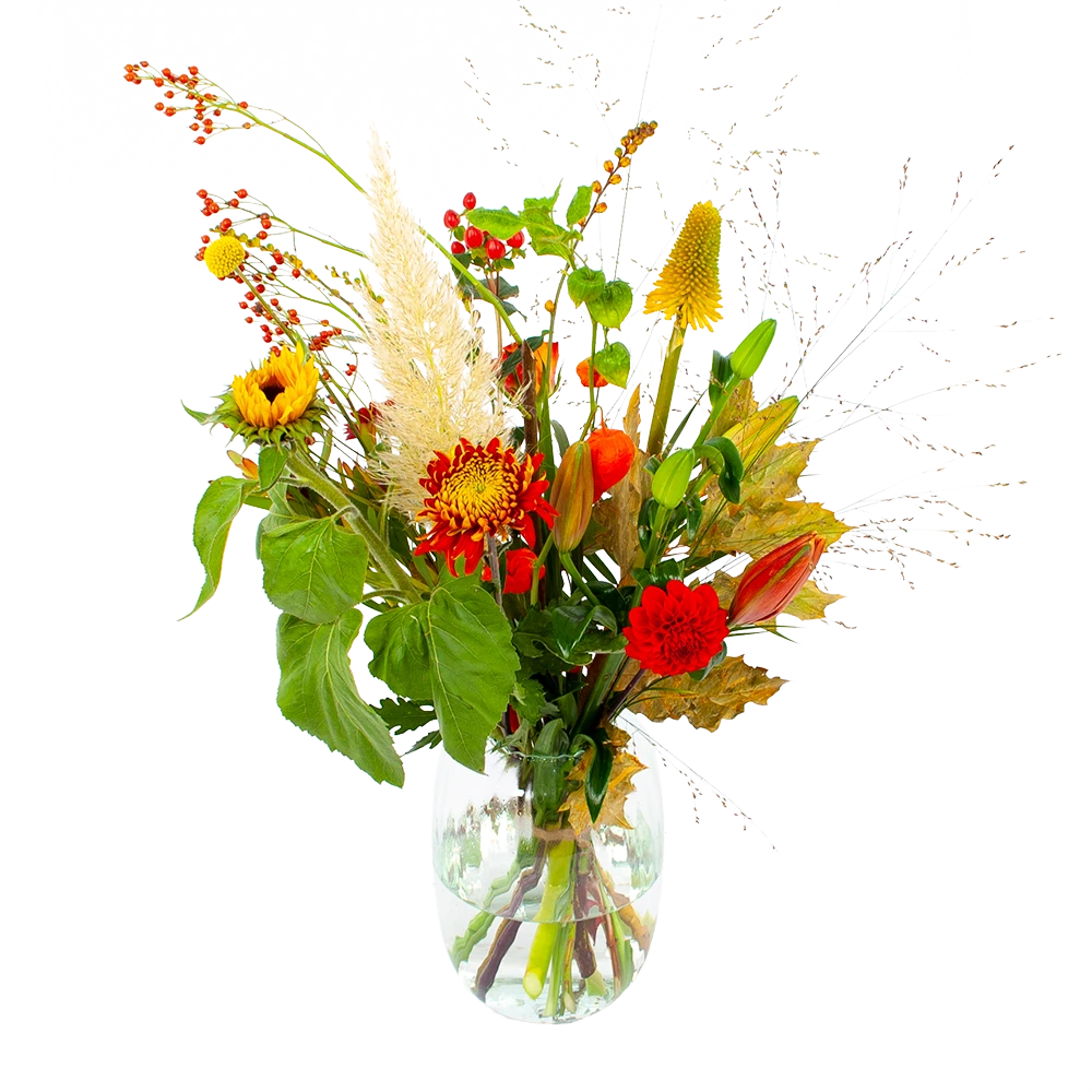 Boeket Pluim Van Het Najaar Middel 1 Boeket Pluim Van Het Najaar Middel