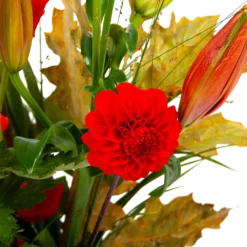 Boeket Pluim Van Het Najaar Middel 8 Boeket Pluim Van Het Najaar Middel -Goedkope Tuinbenodigdheden winkel boeket pluim van het najaar middel boeketten 3