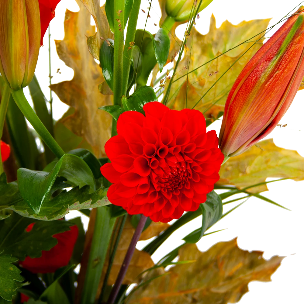 Boeket Pluim Van Het Najaar Middel 3 Boeket Pluim Van Het Najaar Middel - Afbeelding 3