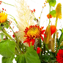 Boeket Pluim Van Het Najaar Middel 9 Boeket Pluim Van Het Najaar Middel -Goedkope Tuinbenodigdheden winkel boeket pluim van het najaar middel boeketten 4