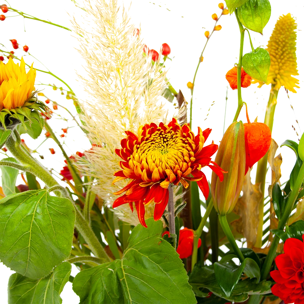 Boeket Pluim Van Het Najaar Middel 4 Boeket Pluim Van Het Najaar Middel - Afbeelding 4