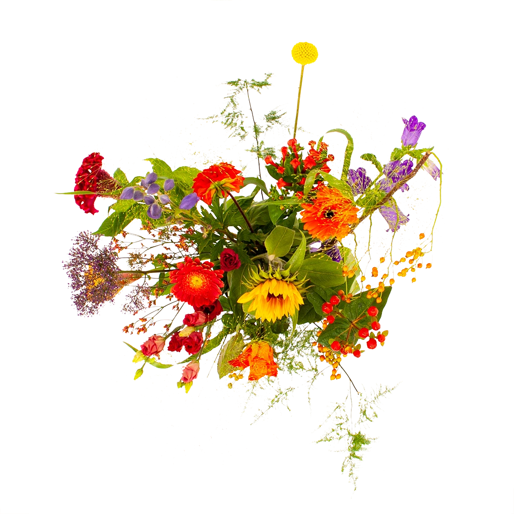 Boeket Plukgeluk Groot 2 Boeket Plukgeluk Groot - Afbeelding 2