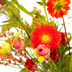 Boeket Plukgeluk Groot 8 Boeket Plukgeluk Groot -Goedkope Tuinbenodigdheden winkel boeket plukgeluk groot boeketten 3