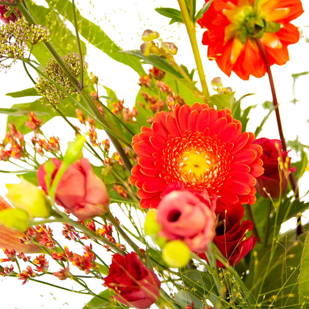 Boeket Plukgeluk Groot 3 Boeket Plukgeluk Groot - Afbeelding 3