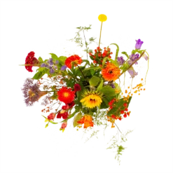 Boeket Plukgeluk Middel 7 Boeket Plukgeluk Middel -Goedkope Tuinbenodigdheden winkel boeket plukgeluk middel boeketten 2