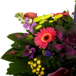 Boeket Purple Groot 8 Boeket Purple Groot -Goedkope Tuinbenodigdheden winkel boeket purple groot boeketten 3 1