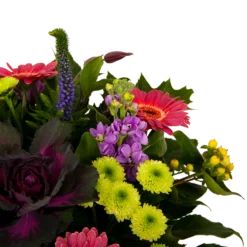 Boeket Purple Klein -Goedkope Tuinbenodigdheden winkel boeket purple klein boeketten 4 1