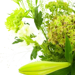 Boeket Puur Natuur Groot 8 Boeket Puur Natuur Groot -Goedkope Tuinbenodigdheden winkel boeket puur natuur boeketten 3 1 2