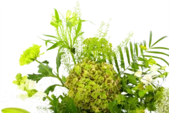 Boeket Puur Natuur Middel -Goedkope Tuinbenodigdheden winkel boeket puur natuur boeketten 4 1