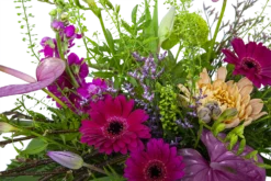 Boeket Ronald Special Middel 7 Boeket Ronald Special Middel -Goedkope Tuinbenodigdheden winkel boeket ronald special boeketten 3 2