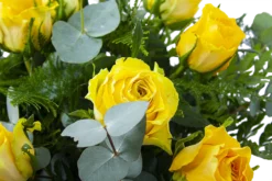 Boeket Rosa Geel Klein -Goedkope Tuinbenodigdheden winkel boeket rosa geel boeketten 3